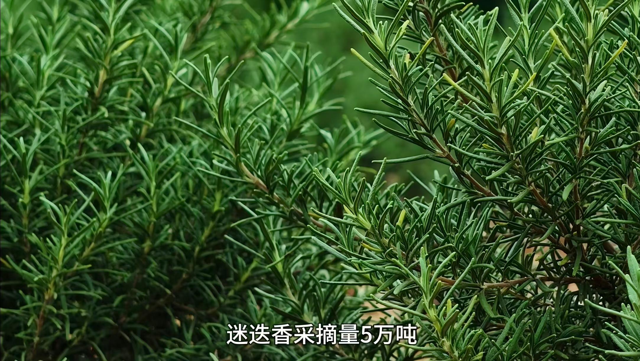 b0ecf1aa2173d7d2eec01abfa01e2a71.jpg